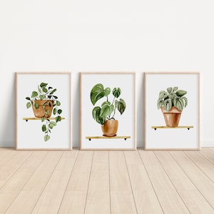 Botanical Printable Set, Home Decor Gift, Houseplant Paintings, Plant Posters, Leaf Prints, Gallery Wall Set of 3 Triptych Shelf Terracotta