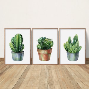 May include: Three framed watercolour prints of cacti in pots. The cacti are various shades of green, with spiky textures. The pots are in shades of blue, green, and terracotta. The frames are a light brown colour. The prints are displayed on a wooden floor.
