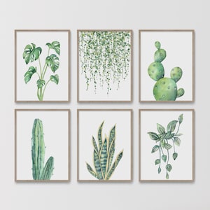 Botanisches Set zum Ausdrucken, Pflanzenposter, 6er-Set Sukkulenten, Kaktus, Aquarellmalerei, Laubblätter, Galeriewand-Set, Innenhaus