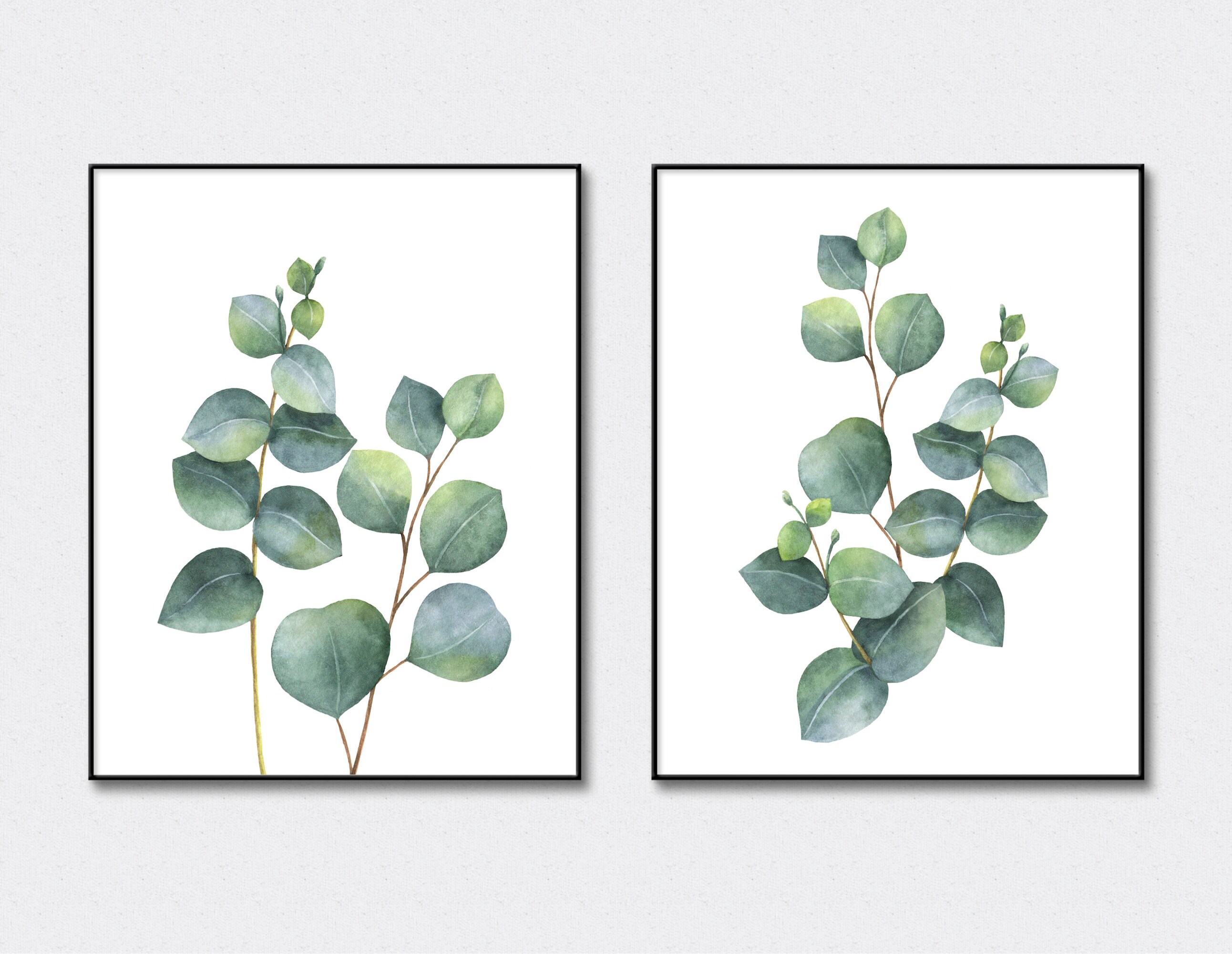 Eucalyptus leaves prints greenery gift plants print Greenery wall