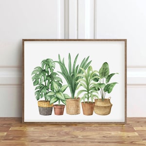 Op de afbeelding: Een ingelijste aquarelprint met een verzameling potplanten. De planten omvatten een Monstera, diverse groene bladeren en een paradijsvogelbloem. De potten zijn een mix van geweven manden en terracotta. De lijst is warmbruin.