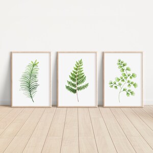 Framed Botanical Fern Watercolor Wall Art