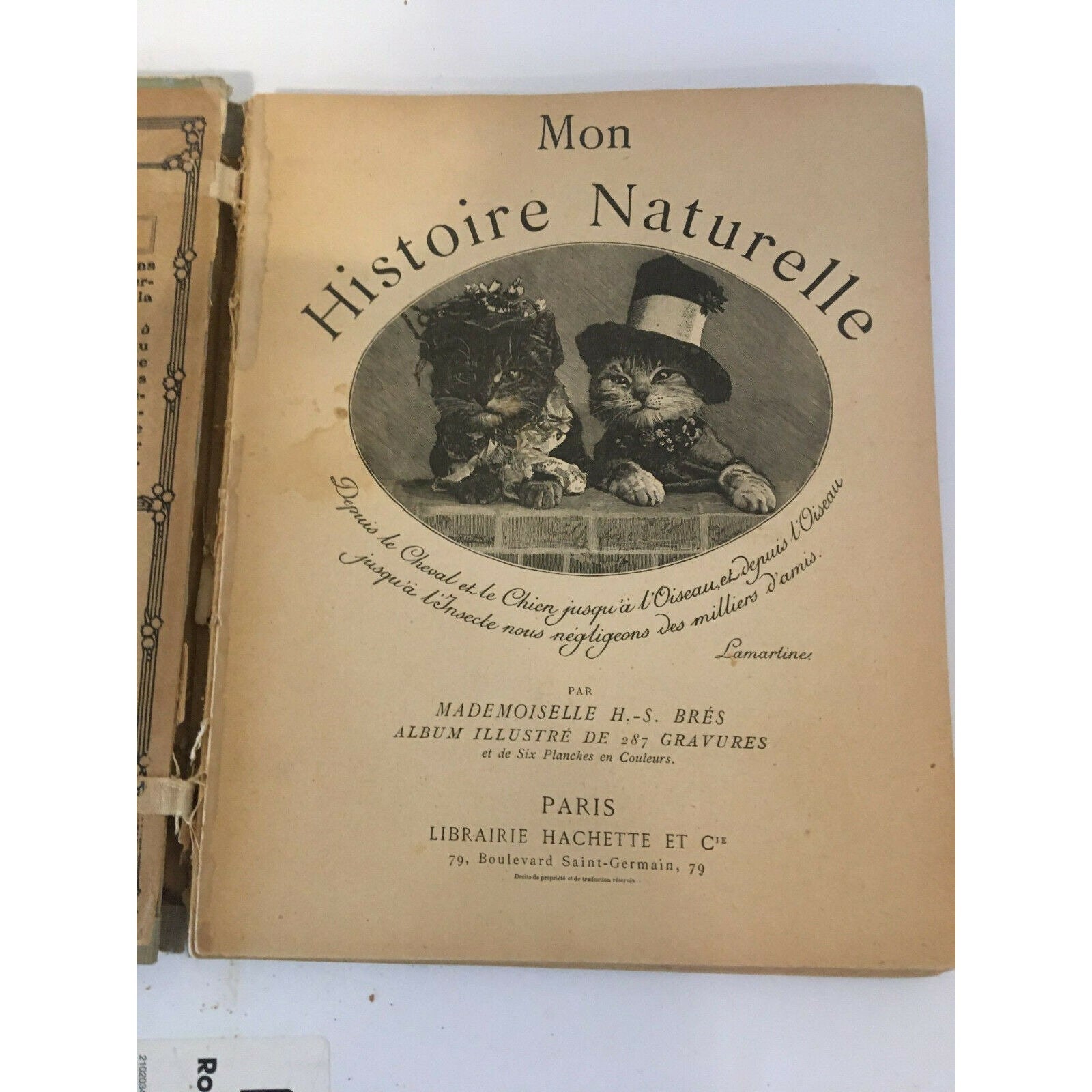 Mon Histoire De France by Bres, Hachette Book - Text in