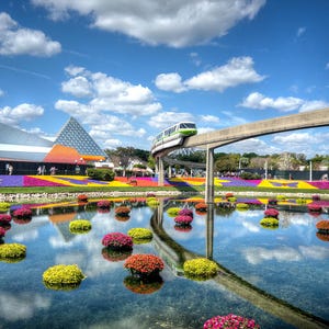 May include: A monorail train travels over a bridge with a pond reflecting the colorful flowers and buildings in the background.