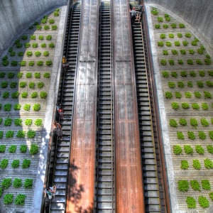 May include: Two escalators with wooden steps and metal handrails are surrounded by a concrete wall with green plants growing in square planters.