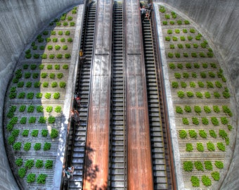 Dupont Circle Metro Escalator