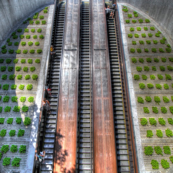 Dupont Circle Metro Escalator