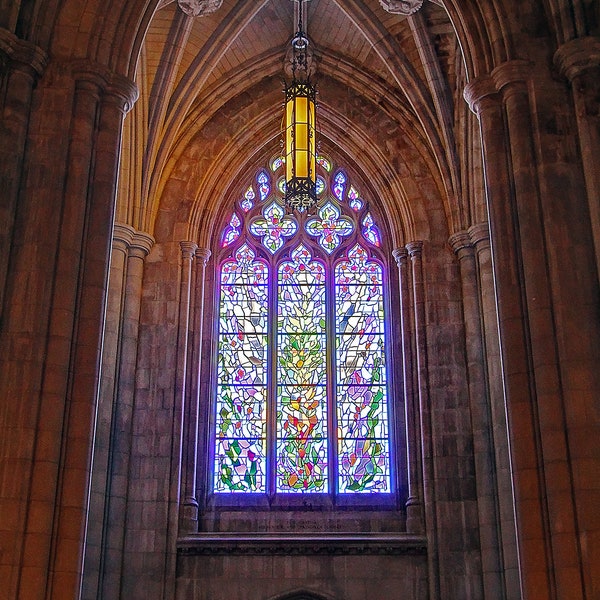 Stained Glass Window in the National Cathedral