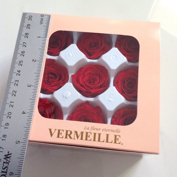 9 Preserved Real Roses In The Box La Fleur Eternelle Vermeille Last 3 Years Red