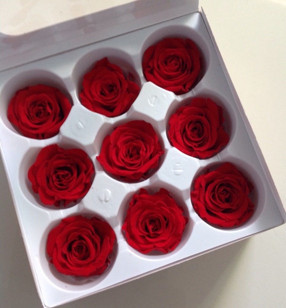 9 Preserved Real Roses In The Box La Fleur Eternelle Vermeille Last 3 Years Red