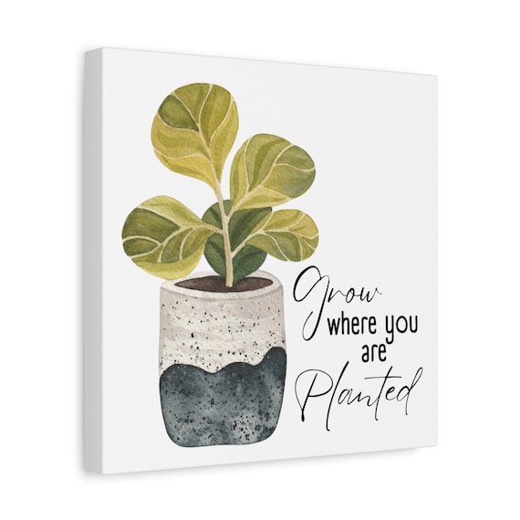 Plant Lover's Canvas Wall Art, Grow Where You Are Planted, Modern Home Decor, Gift for Gardeners, Boho Wall Art, Inspirational Decor
