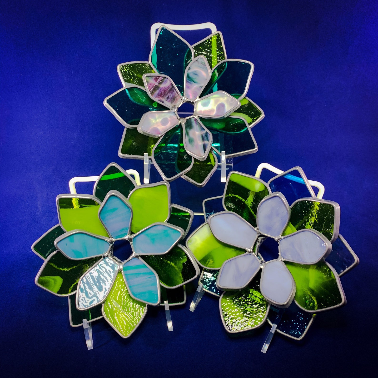 Stained Glass Succulent Etsy