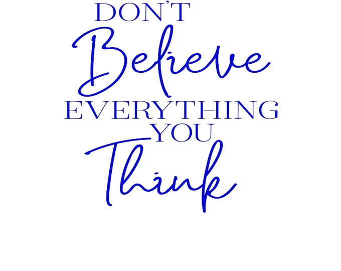 Funny 'Don't Believe Everything' Vinyl Decal - Car, Window, Laptop