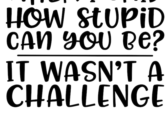 Funny Car Window Vinyl Decal: Sarcastic Bumper Sticker