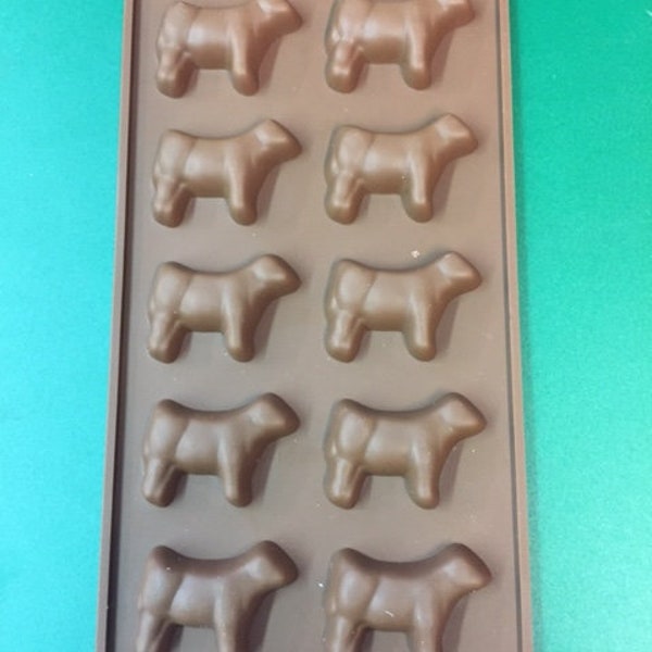 Show Steer Chocolate mold Package of 2