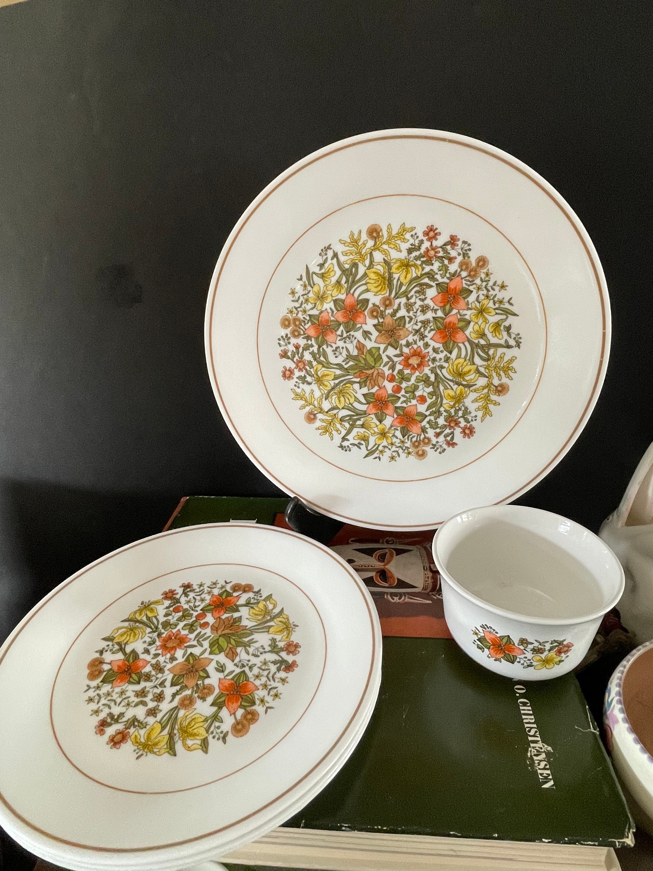 Vintage Plates Corelle Dishes Contain Lead Lead Paint All Corelle