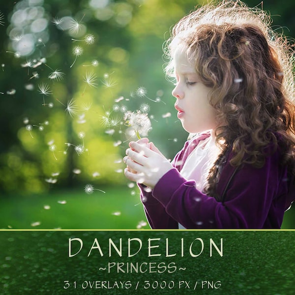 Dandelion Photo Overlay Princess - Photoshop Templates Photography Textures, Digital Download, png file -CPZ121-