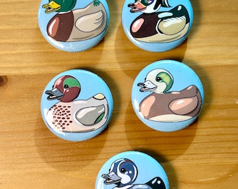 Rubber Duck Fridge Magnet Set - Real Duck Species Original Art Handmade 1.25”