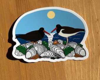 Oystercatcher Sticker Birding and Nature Sticker