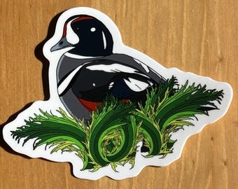 Harlequin Duck Sticker Weird Duck Season Birding Gift