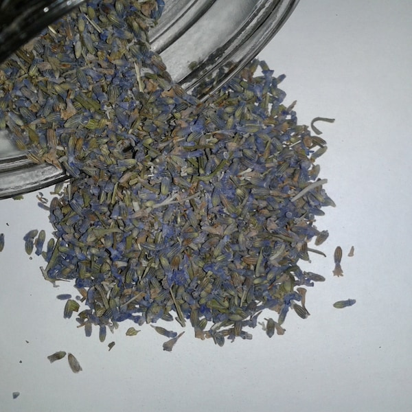 Lovely Lavender buds