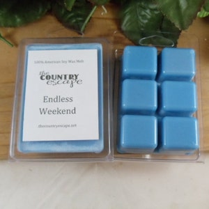 Endless Weekend Scented 100% Soy Wax Melt - Exotic Scent - Maximum Scented