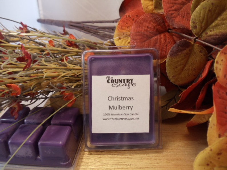 Christmas Mulberry Scented 100% Soy Wax Melt - Holiday Fruit - Maximum ...