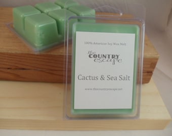 Cactus and Sea Salt Scented 100% Soy Wax Melt - Maximum Scented