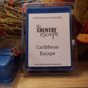 Caribbean Escape Scented 100% Soy Wax Melt - Tropical Coconut - Maximum Scented