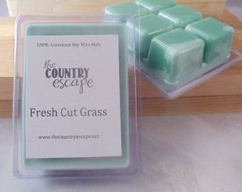 Fresh Cut Grass Scented 100% Soy Wax Clamshell Melt - Pleasant Grass Scent - Maximum Scented