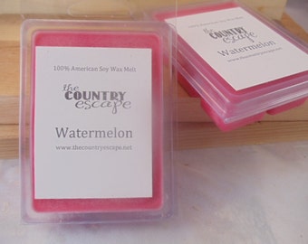 Watermelon Scented 100% Soy Wax Melt - Customer Favorite - Maximum Scented