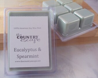 Eucalyptus & Spearmint Scented 100% Soy Wax Clamshell Melt - Stress Relief - Maximum Scented