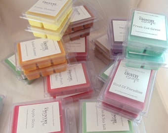 SPECIAL OFFER -NEW Scents Available -Introductory Pricing -Soy Wax Clamshell Melt Tarts- Maximum Scented