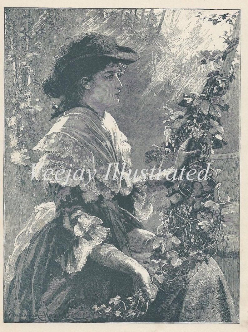 Victorian Lady Gathering Flowers Antique 1884 Book Illustration