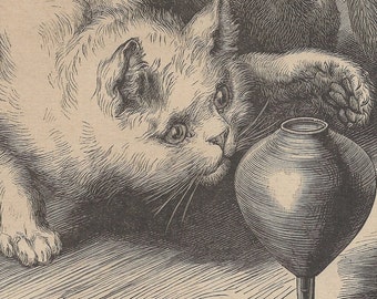 1890s Cat Playing with a Top, Antique Engraved Book Illustration