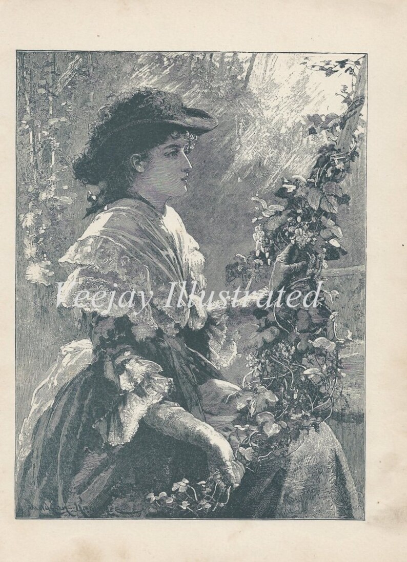 Victorian Lady Gathering Flowers Antique 1884 Book Illustration