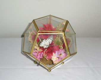 Terrarium Glass and Brass Dried Flowers Butterfly Vintage 12 Sided 1970s