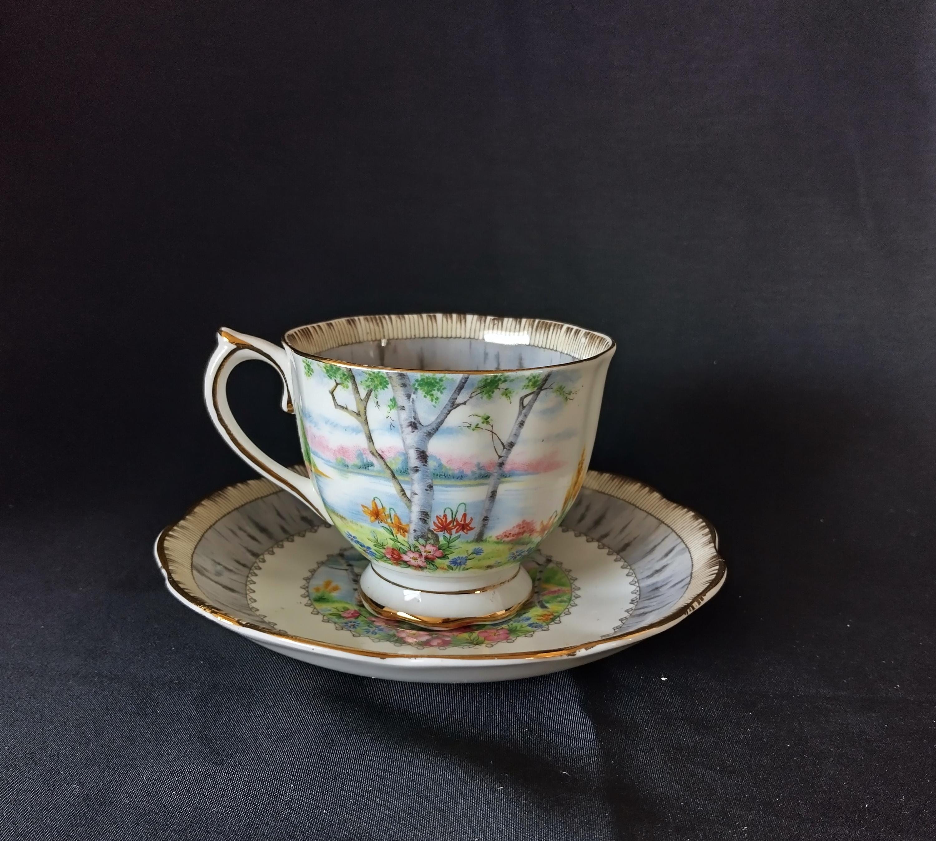 Royal Albert Silver Birch - Etsy