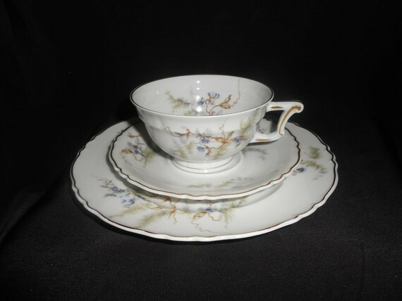 HAVILAND LIMOGES Louveciennes トリオ HAVILAND LIMOGES Louveciennes トリオ