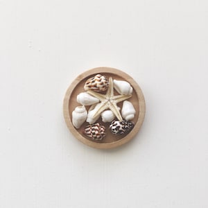 Puppenhaus Miniatur Muscheln Teller