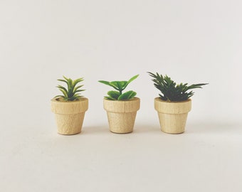 Dollhouse Miniature Set of 3 Plants/Herbs in Wooden Pots