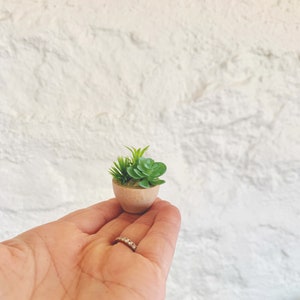 Dollhouse Miniature Wooden Succulent Pot