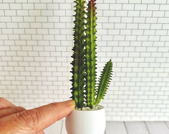Dollhouse Miniature Cactus Plant