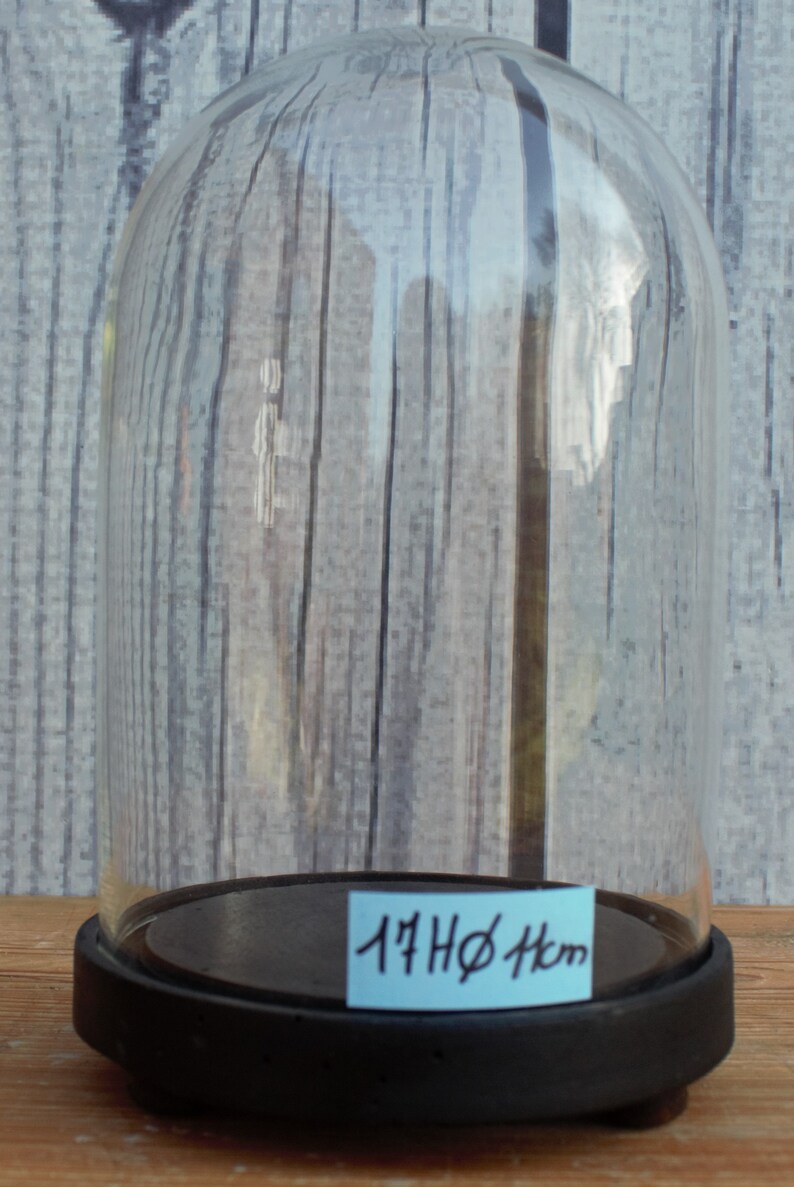 Vintage French Round Glass Dome Bell Jar 17 Cm High 13 Cm Wide Etsy