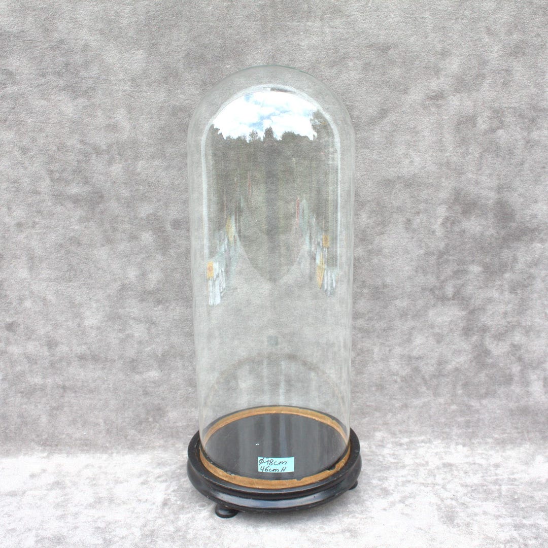 Antique Round Glass Dome Bell Jar Cloche Globe 46 X 18cm Hand Blown ...