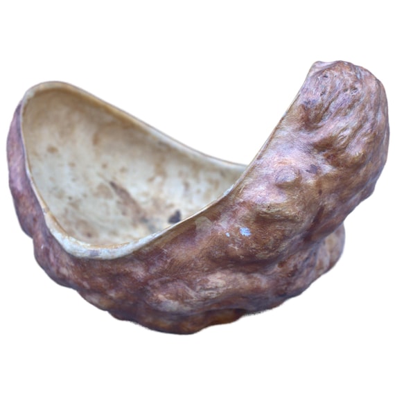 An authentic Sami hand-carved bowl from the indigenous people of Sweden — genuinely rare, culturally specific craft that almost nobody has seen before.
