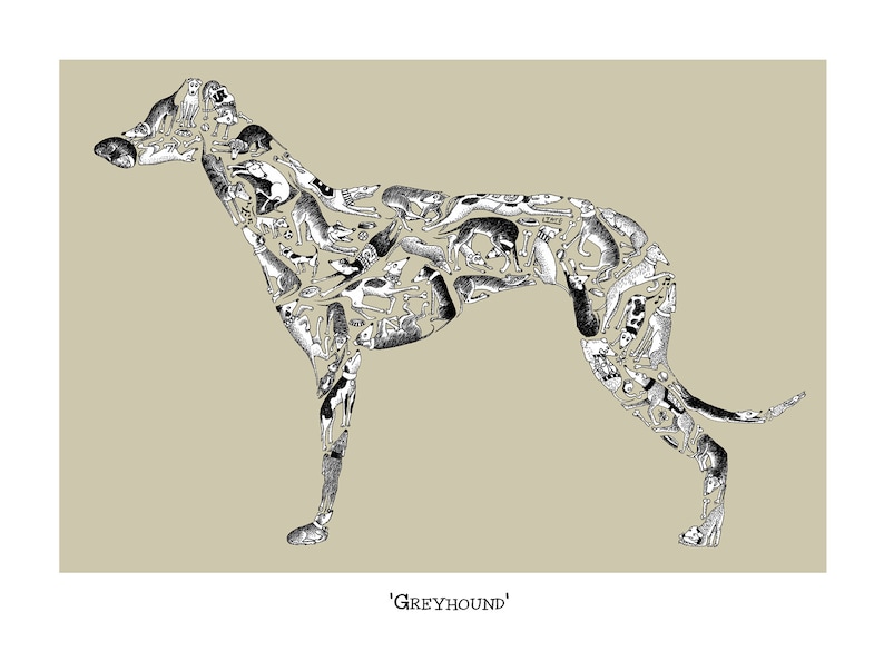 Dog Lover Gift Greyhound Art Print Signed Etsy