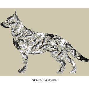 German Shepherd Print, German shepherd gifts, dog walker gift, home decor, wall art, German shepherd art, dog breed, German shepherd drawing