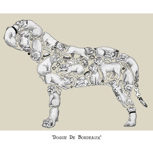 Dogue De Bordeaux Print, dogue de bordeaux art, dog pictures, dog walker gift, home decor, wall art, DDB art, decor