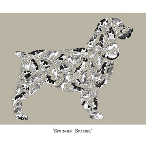 Springer Spaniel Print (docked) , Dog Lover Art Print, Signed